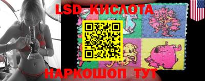 прущие грибы Будённовск