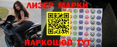 прущие грибы Будённовск