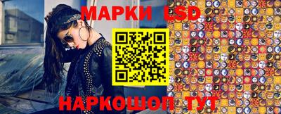 прущие грибы Будённовск