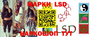 прущие грибы Будённовск