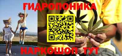 прущие грибы Будённовск