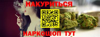прущие грибы Будённовск