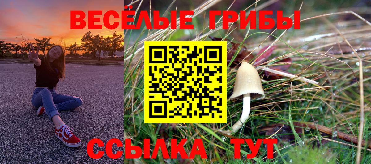 Галлюциногенные грибы ЛСД Отрадный