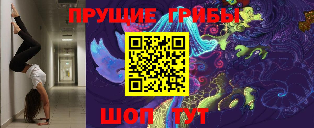 Галлюциногенные грибы GOLDEN TEACHER  Галлюциногенные грибы MAGIC MUSHROOMS  Вход с VPN  Отрадный 